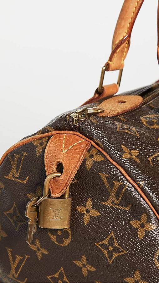 Louis Vuitton Speedy30 ハンドバッグ ブラウン Louis Vuitton Speedy Top Handle Bag 30 Brown Canvas for sale